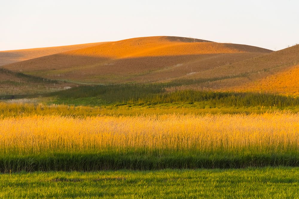 Sunset view of wheat field-Palouse-Washington State-USA art print by Keren Su for $57.95 CAD