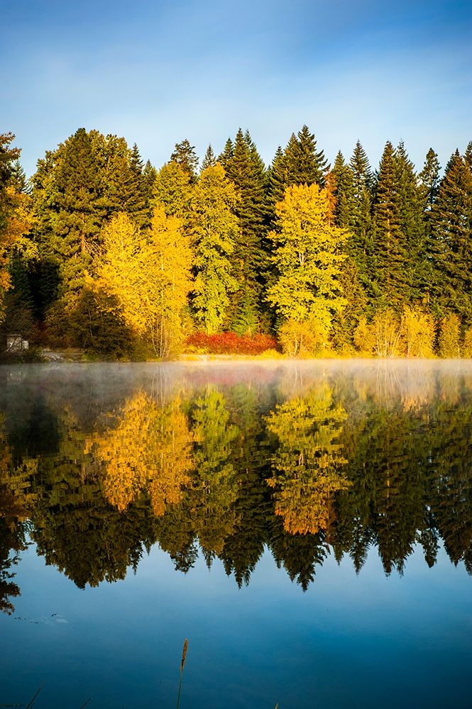 Washington State-Cle Elum Fall color by a pond in Central Washington art print by Richard Duval for $57.95 CAD
