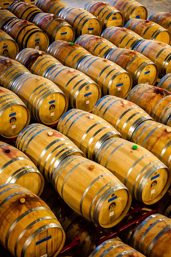 USA-WA-Woodinville Barrell cellar holds hundreds of wine barrels art print by Richard Duval for $57.95 CAD