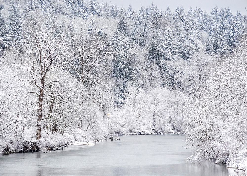 Washington State-Fall City and the Snoqualmie river with winter fresh snow fall art print by Sylvia Gulin for $57.95 CAD