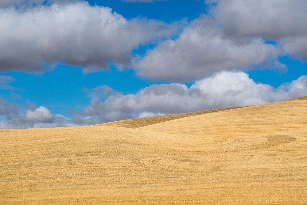 Washington State-Eastern Washington-Palouse art print by Sylvia Gulin for $57.95 CAD