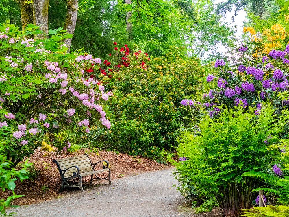USA-Washington State-Pacific Northwest-Bellevue and the Bellevue Botanical Gardens art print by Sylvia Gulin for $57.95 CAD
