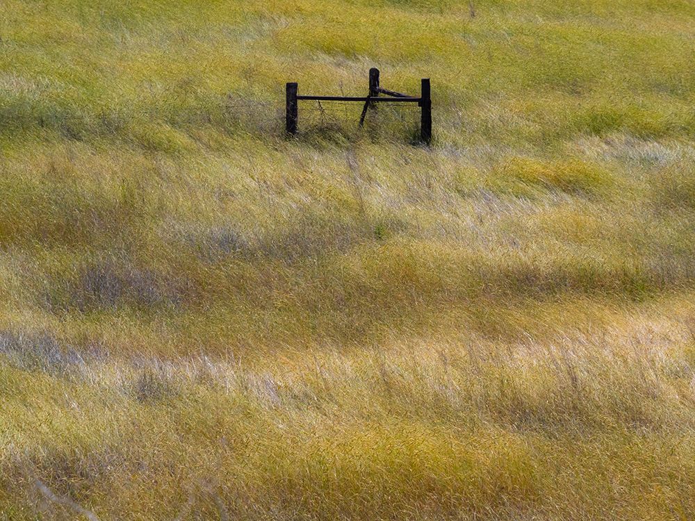 USA-Washington State-Palouse with wooden fence posts in grass field art print by Sylvia Gulin for $57.95 CAD