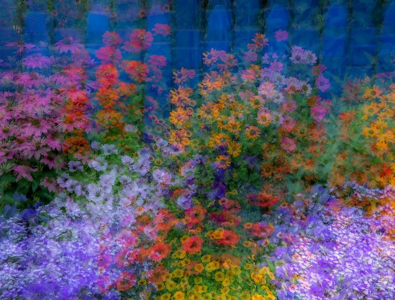 USA-Washington State-Pacific Northwest-Sammamish colorful flowers and blue picket fence art print by Sylvia Gulin for $57.95 CAD