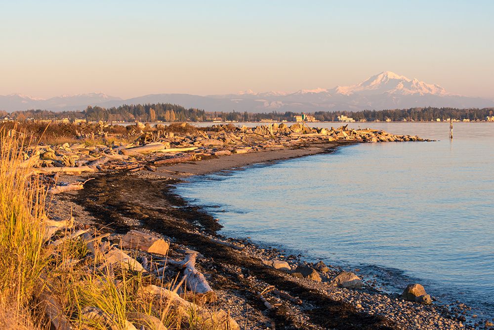USA, Washington State. Birch Bay with Mount Baker and North Cascades art print by Trish Drury for $57.95 CAD