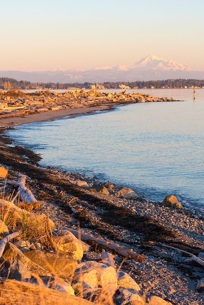 USA, Washington State. Birch Bay with Mount Baker and North Cascades art print by Trish Drury for $57.95 CAD