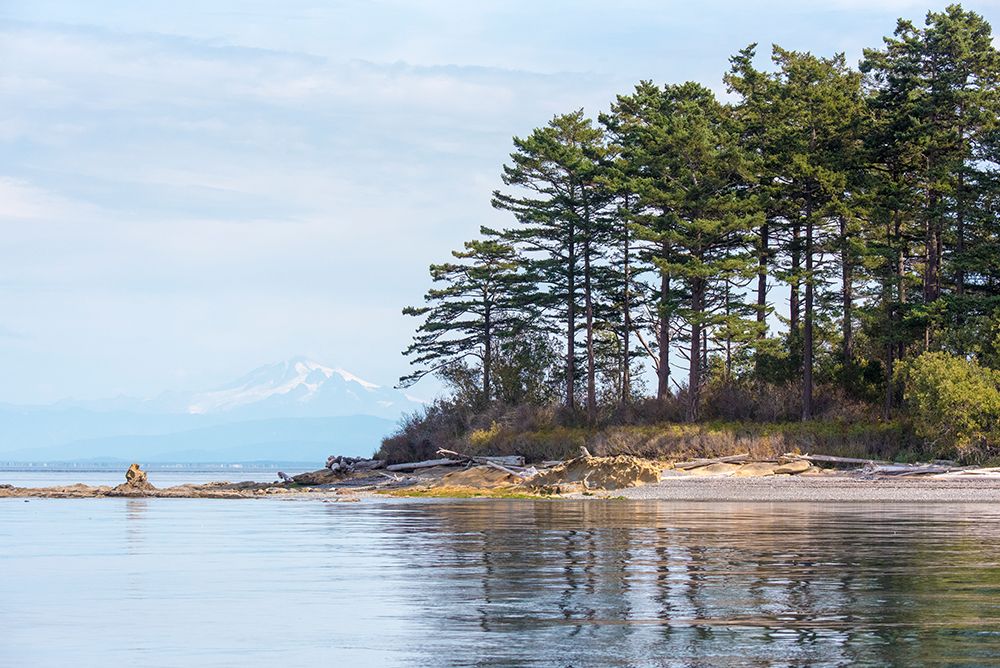 USA, San Juan Islands, Washington State. Patos Island, Mount Baker, Salish Sea. art print by Trish Drury for $57.95 CAD