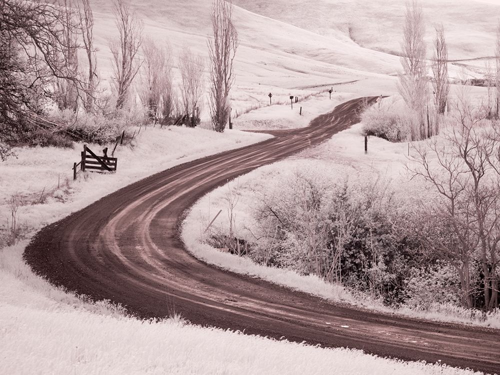 Backroad leading through Spring wildflowers art print by Terry Eggers for $57.95 CAD