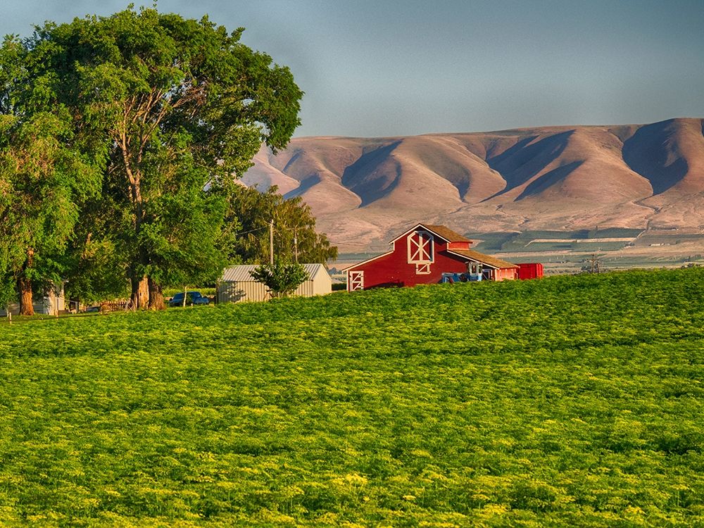 Evening light on red barn art print by Terry Eggers for $57.95 CAD