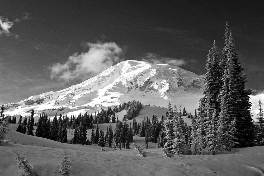 USA-Washington State-Mt-Rainier National Park-Winter on Mount Rainier art print by Terry Eggers for $57.95 CAD