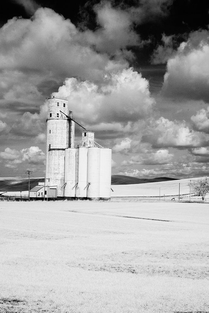 USA-Washington State-Silo with large clouds art print by Terry Eggers for $57.95 CAD