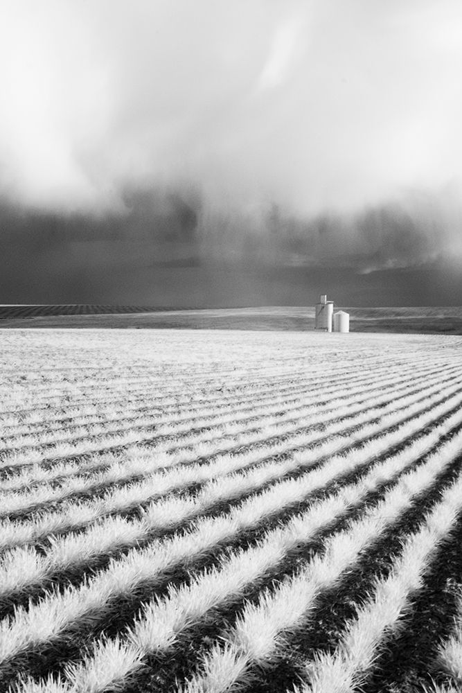USA-Washington State-Silo with Storm front coming art print by Terry Eggers for $57.95 CAD