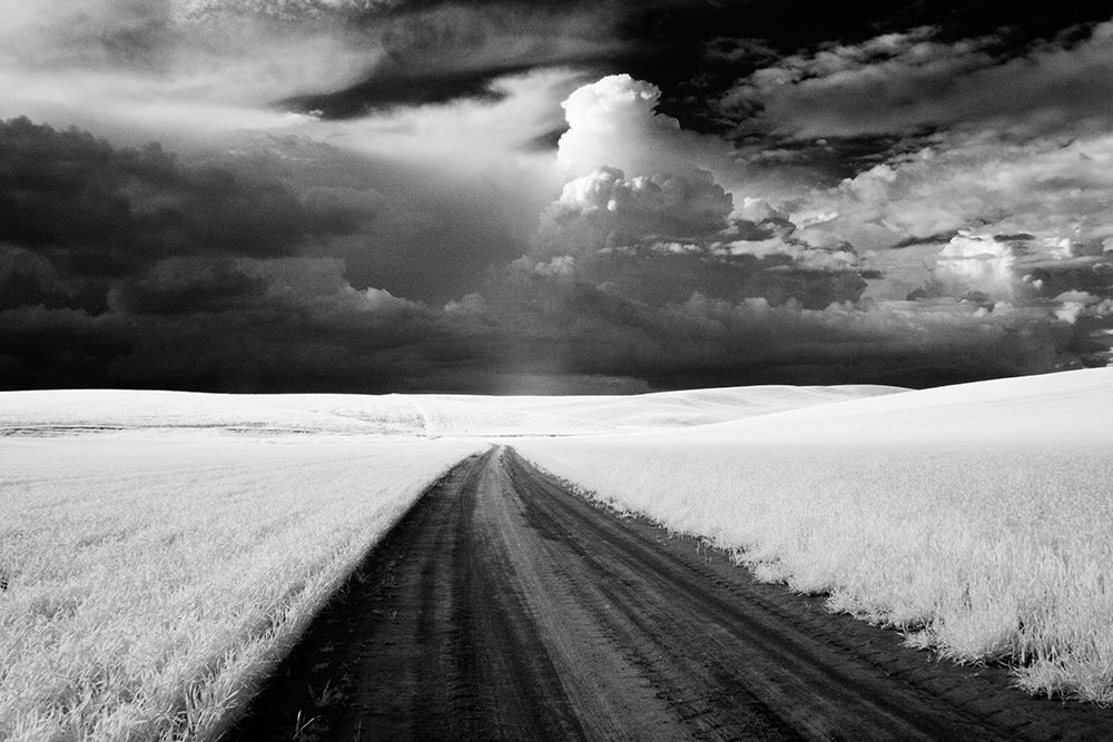 USA-Washington State-Country backroad art print by Terry Eggers for $57.95 CAD