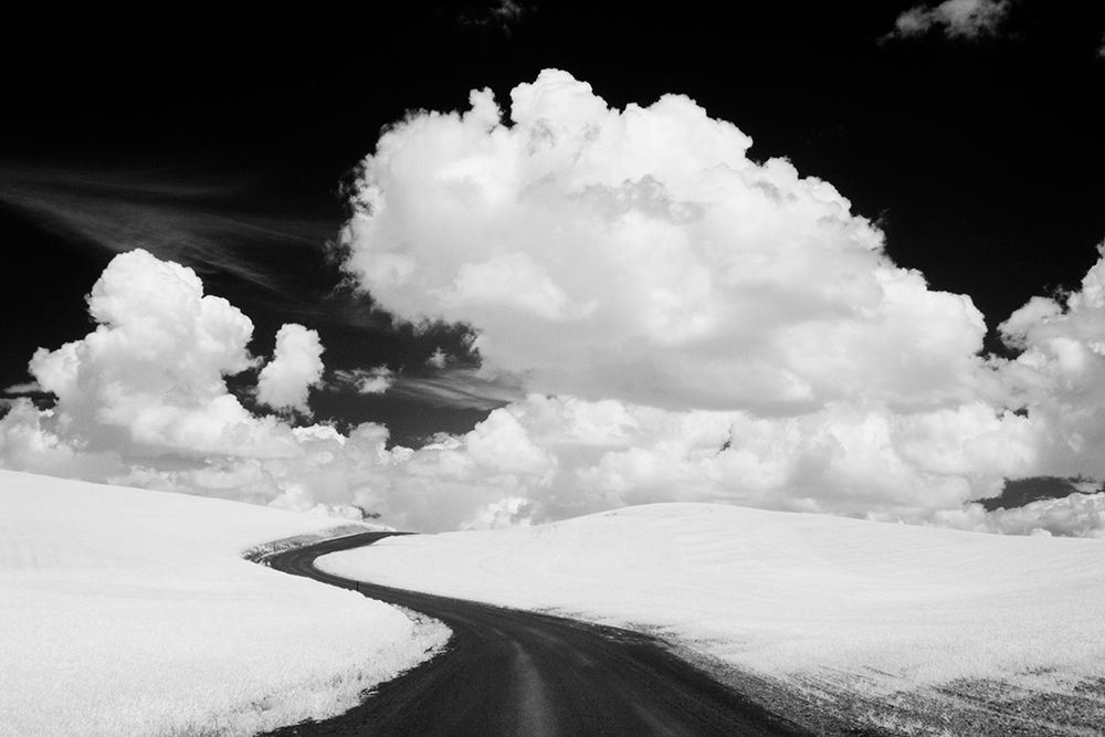 USA-Washington State-Country backroad art print by Terry Eggers for $57.95 CAD