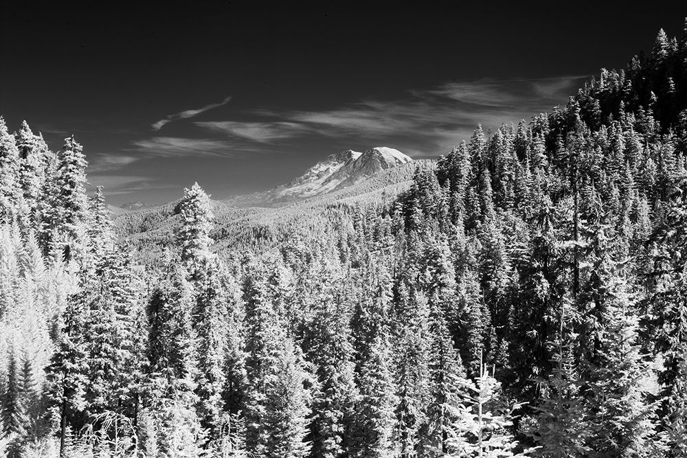 USA-Washington State-Mt-Rainier viewed from the South art print by Terry Eggers for $57.95 CAD