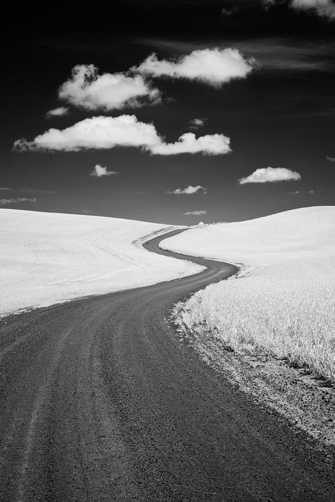 USA-Palouse Country-Washington State-Infrared Palouse fields and backroad art print by Terry Eggers for $57.95 CAD