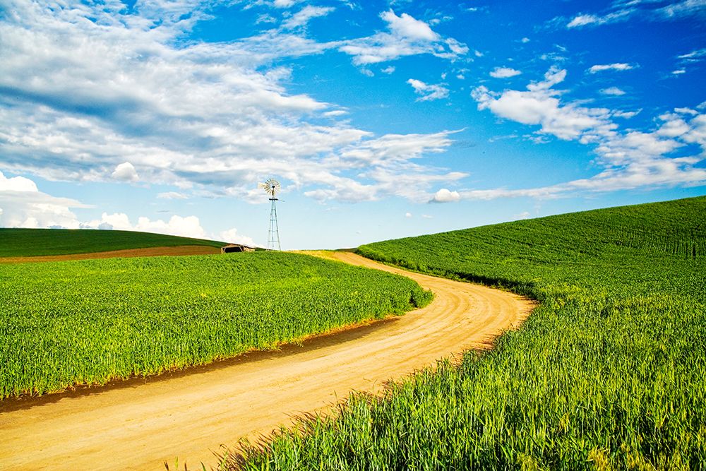 Winding backroad through Spring wheat fields-USA-Washington State-Palouse Region art print by Terry Eggers for $57.95 CAD