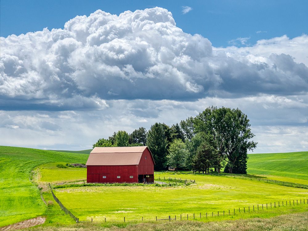 USA-Washington State-Palouse-Old Red barn with fresh green fields art print by Terry Eggers for $57.95 CAD
