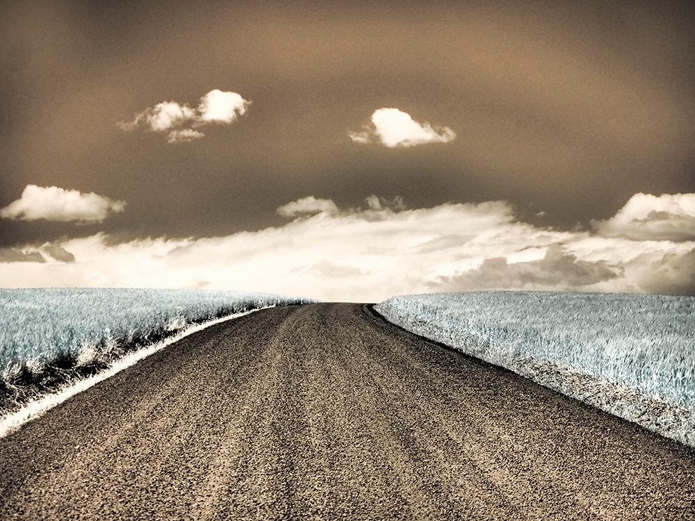 USA-Washington State-Palouse-Country backroad through spring crops art print by Terry Eggers for $57.95 CAD