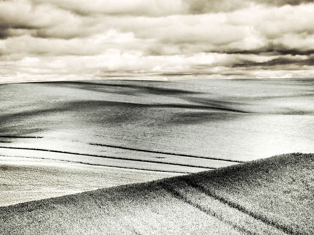 USA-Washington State-Palouse-Crops growing on the rolling hills of the Palouse art print by Terry Eggers for $57.95 CAD