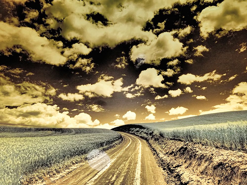USA-Washington State-Palouse-Country backroad through spring crops art print by Terry Eggers for $57.95 CAD