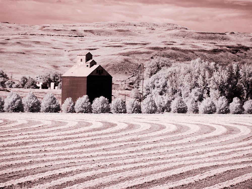 USA-Washington State-Palouse-Harvest lies in field with barn art print by Terry Eggers for $57.95 CAD