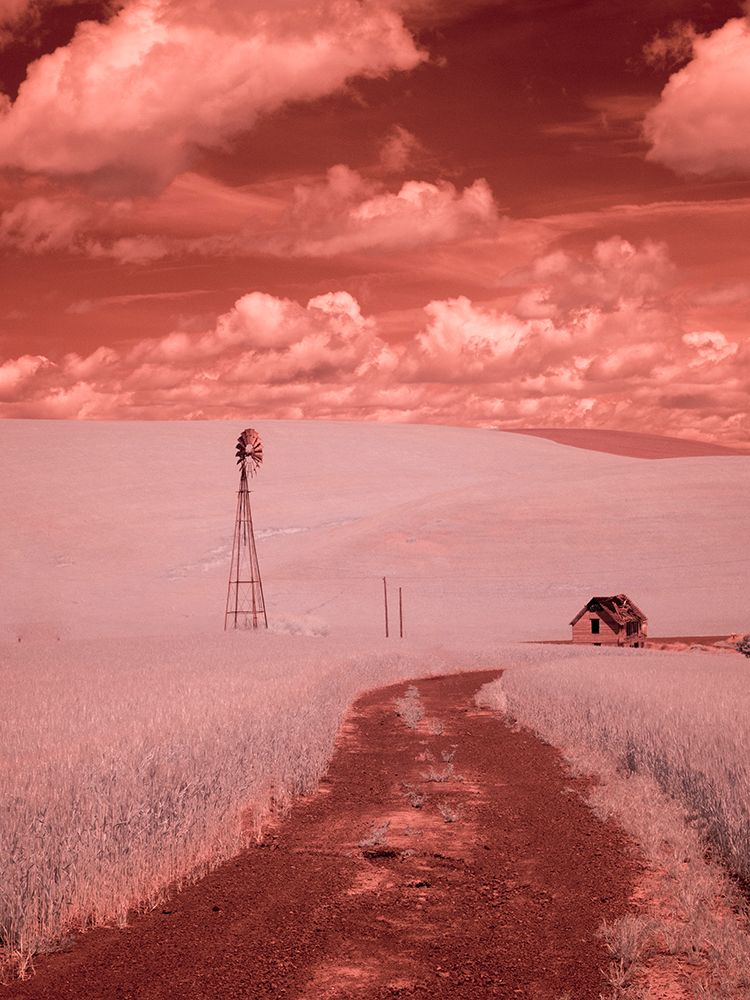 USA-Washington State-Palouse-Backroad through wheat field art print by Terry Eggers for $57.95 CAD
