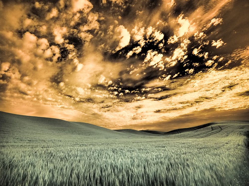 USA-Washington State-Palouse-wheat field and clouds art print by Terry Eggers for $57.95 CAD