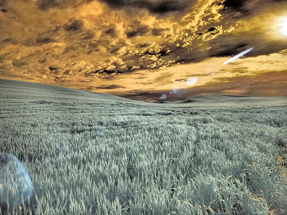 USA-Washington State-Palouse-wheat field and clouds art print by Terry Eggers for $57.95 CAD