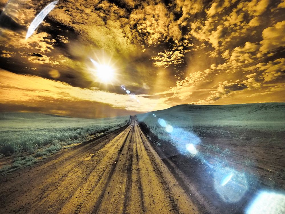 USA-Washington State-Palouse-Backcountry road through wheat field and clouds art print by Terry Eggers for $57.95 CAD