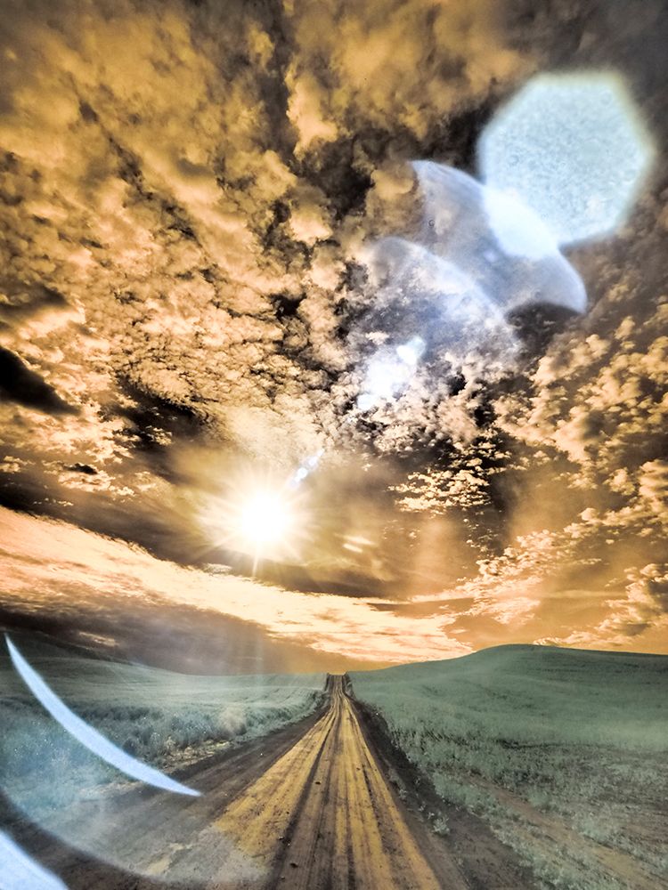 USA-Washington State-Palouse-Backcountry road through wheat field and clouds art print by Terry Eggers for $57.95 CAD