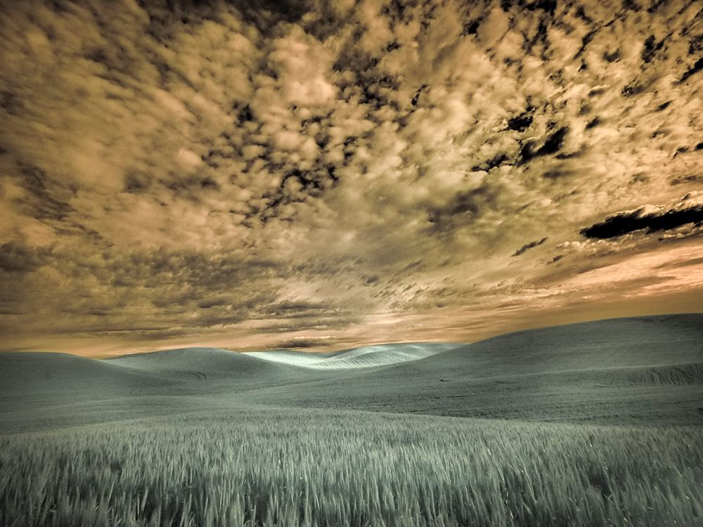 USA-Washington State-Palouse-wheat field and clouds art print by Terry Eggers for $57.95 CAD