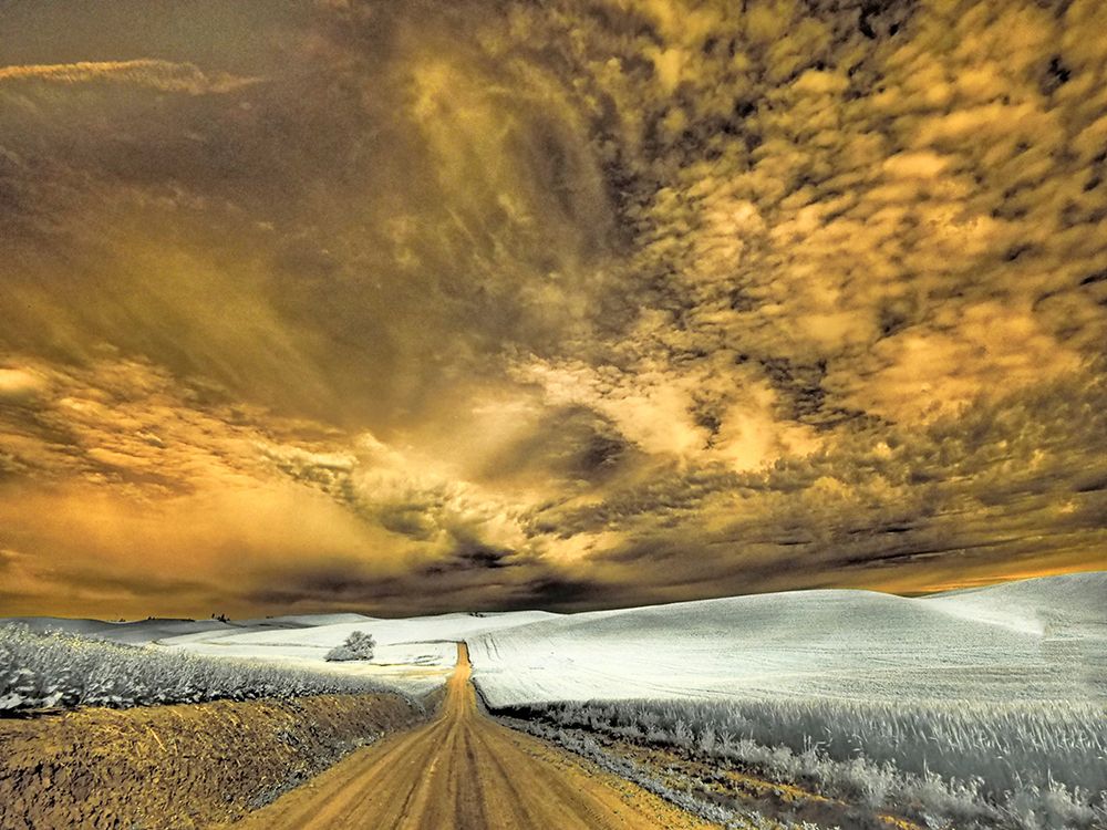 USA-Washington State-Palouse-Backcountry road through wheat field and clouds art print by Terry Eggers for $57.95 CAD