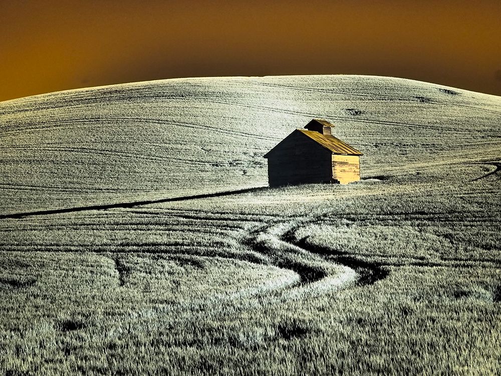 USA-Washington State-Palouse region-Old barn in field of wheat art print by Terry Eggers for $57.95 CAD
