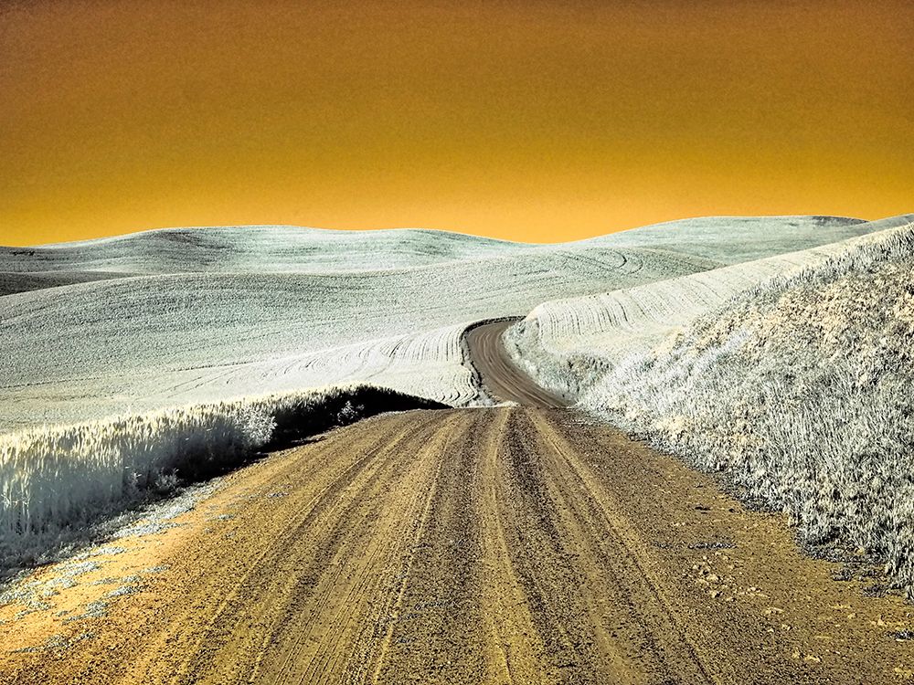 USA-Washington State-Palouse region-Country backroad through wheat fields art print by Terry Eggers for $57.95 CAD