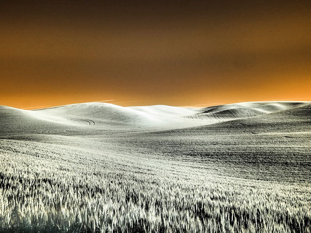 USA-Washington State-Palouse region-Rolling Hills of wheat art print by Terry Eggers for $57.95 CAD