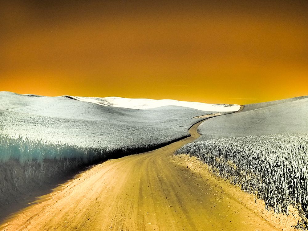 USA-Washington State-Palouse region-Country backroad through wheat fields art print by Terry Eggers for $57.95 CAD