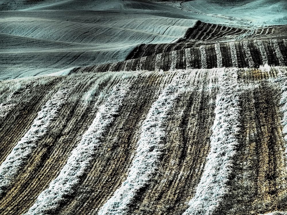 USA-Washington State-Palouse region-Harvest cut lines in Field art print by Terry Eggers for $57.95 CAD