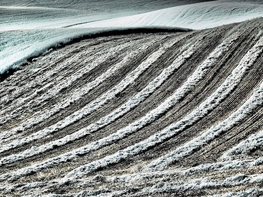 USA-Washington State-Palouse region-Harvest cut lines in Field art print by Terry Eggers for $57.95 CAD