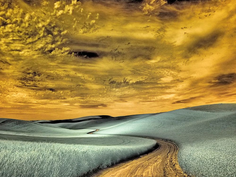 USA-Washington State-Palouse region-winding backcountry road through wheat fields art print by Terry Eggers for $57.95 CAD