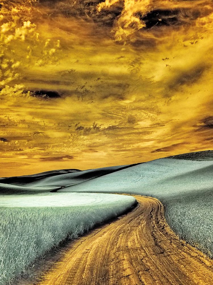 USA-Washington State-Palouse region-winding backcountry road through wheat fields art print by Terry Eggers for $57.95 CAD
