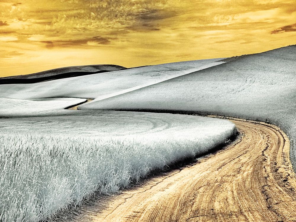USA-Washington State-Palouse region-winding backcountry road through wheat fields art print by Terry Eggers for $57.95 CAD