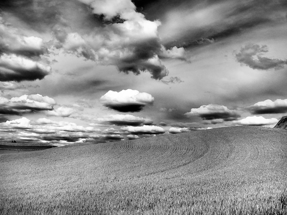 USA-Washington State-Palouse Infrared of rolling hills of crops and clouds art print by Terry Eggers for $57.95 CAD