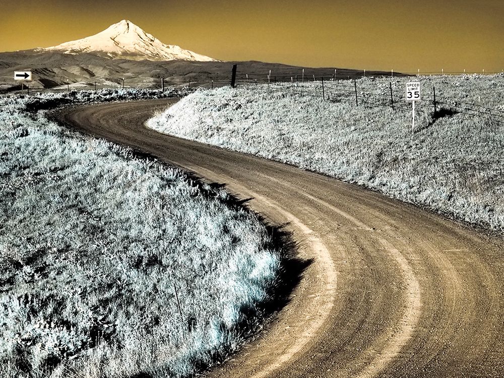 USA-Washington State Infrared capture of road running though wildflowers with Mount Hood background art print by Terry Eggers for $57.95 CAD