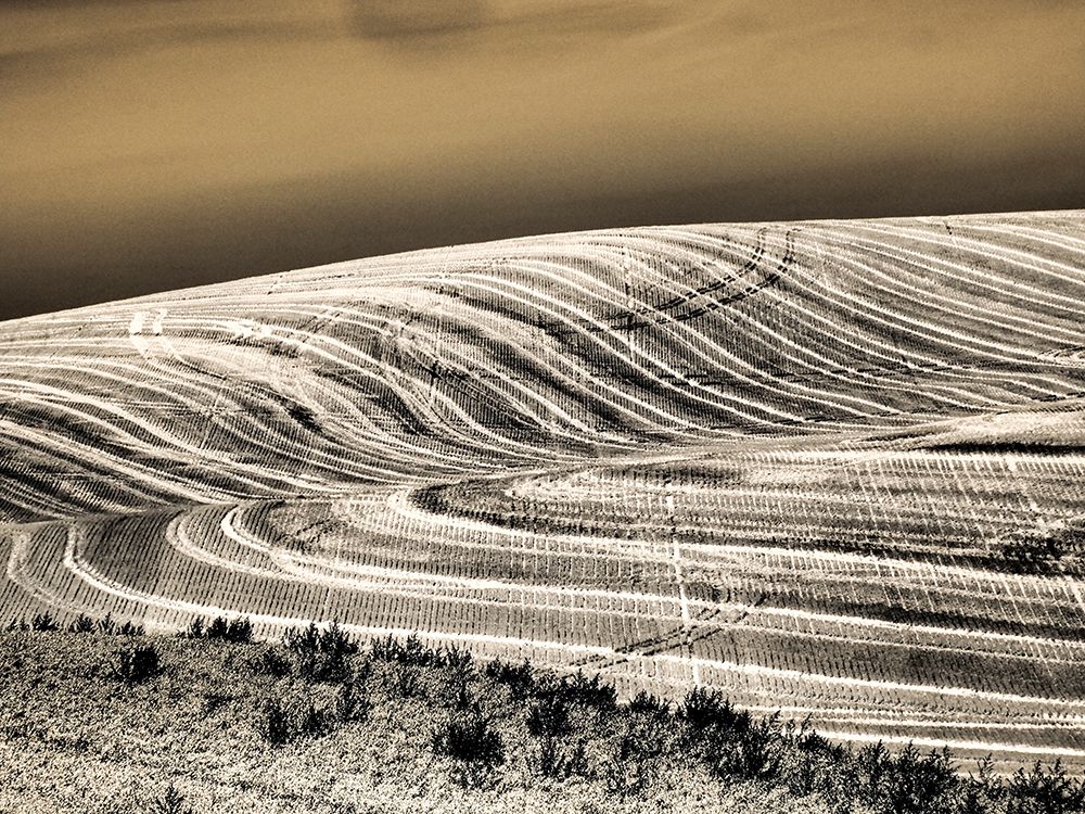 USA, Washington State, Palouse. Infrared of field patterns art print by Terry Eggers for $57.95 CAD