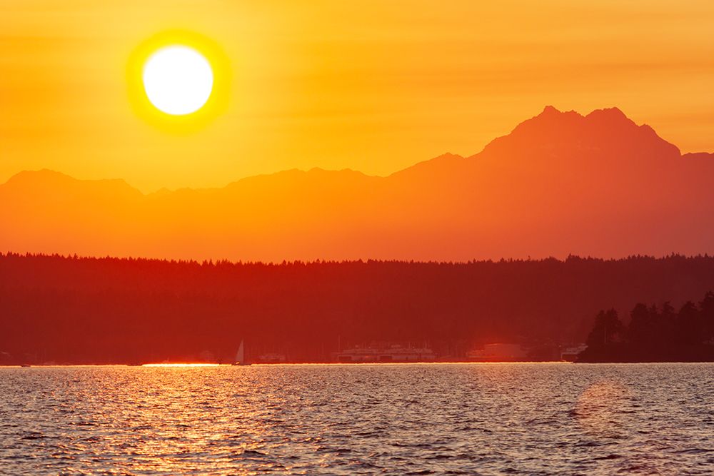 Sunset over Puget Sound- Seattle- Washington State. Silhouette of The Brothers peak on the right. art print by Tom Haseltine for $57.95 CAD
