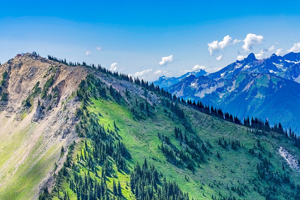 Green foothills, Mount Rainier, Crystal Mountain lookout, Pierce County, Washington State, Usa. art print by William Perry for $57.95 CAD