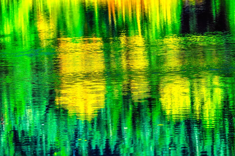 Gold Lake reflection Mount Chikamin, Snoqualmie Pass, Wenatchee National Forest, Washington, Usa. art print by William Perry for $57.95 CAD