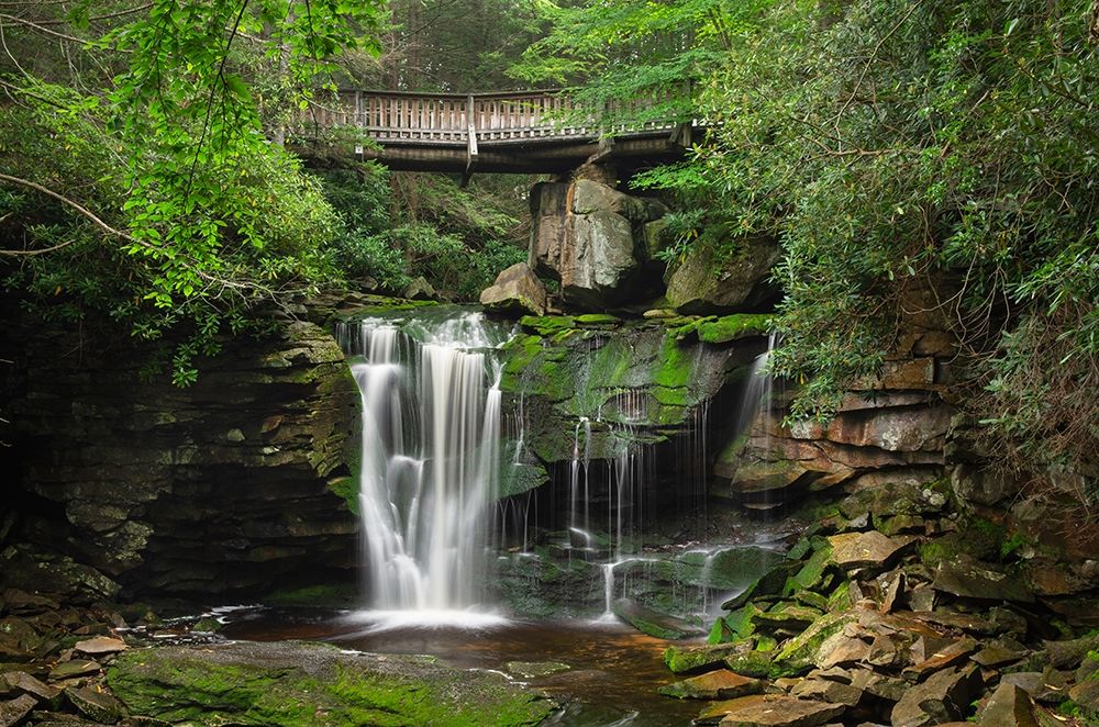 First or Upper Ekalaka Falls-Blackwater Falls State Park-West Virginia art print by Alan Majchrowicz for $57.95 CAD