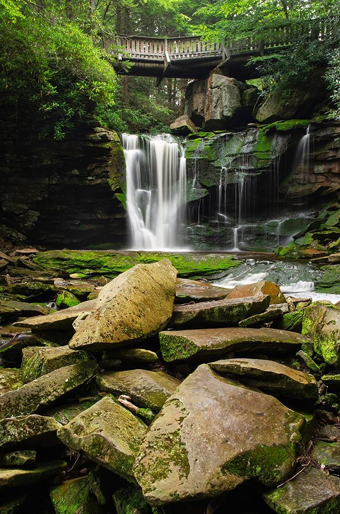 First or Upper Ekalaka Falls-Blackwater Falls State Park-West Virginia art print by Alan Majchrowicz for $57.95 CAD